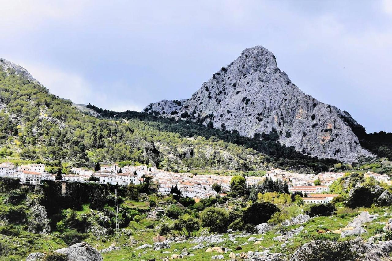 Casa Plaza Sierra Grazalema Villa Eksteriør bilde